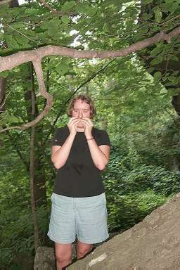 bendy with acorns