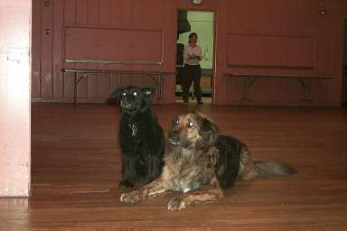 tati and obie