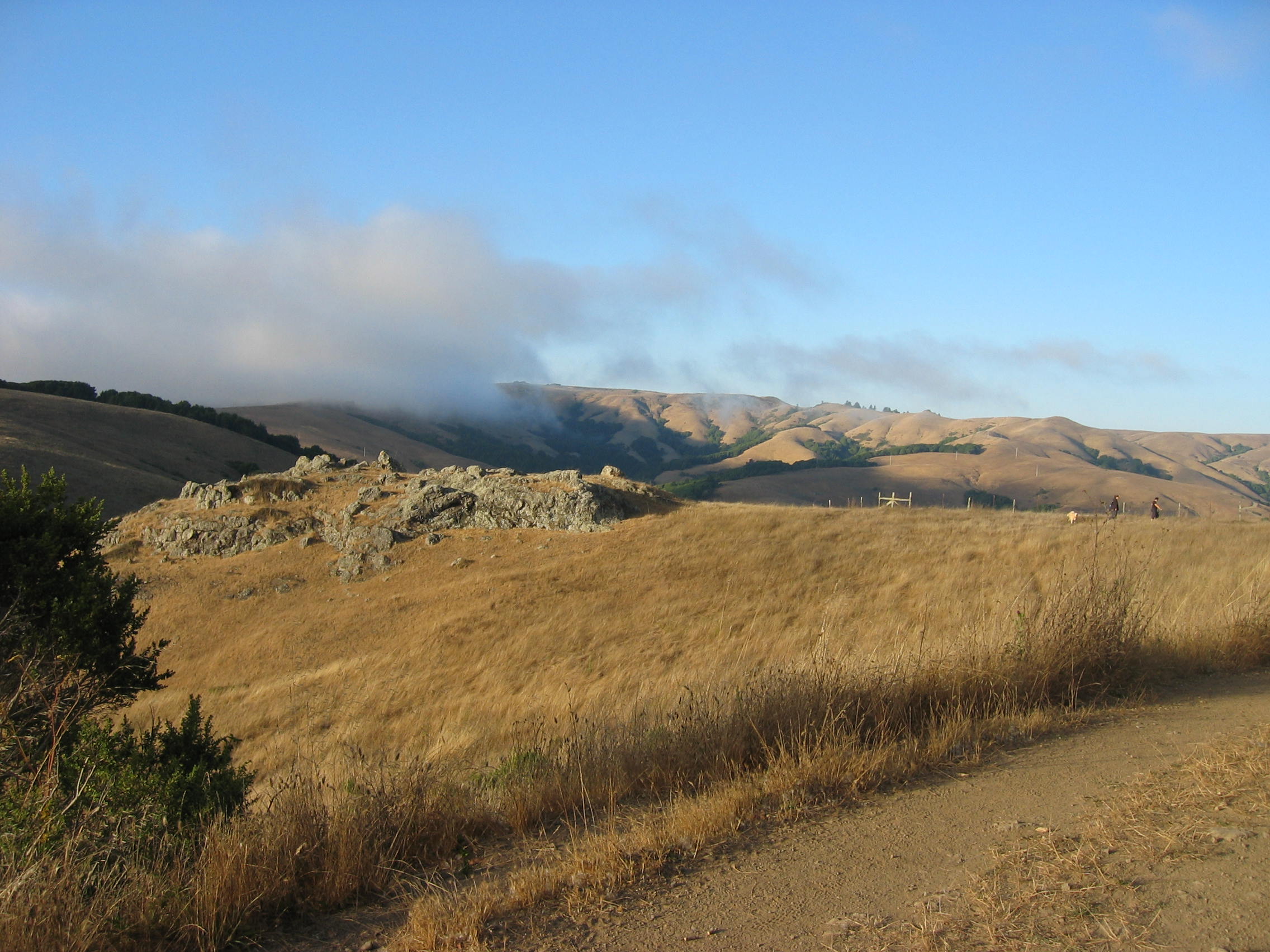 view of hills near olema