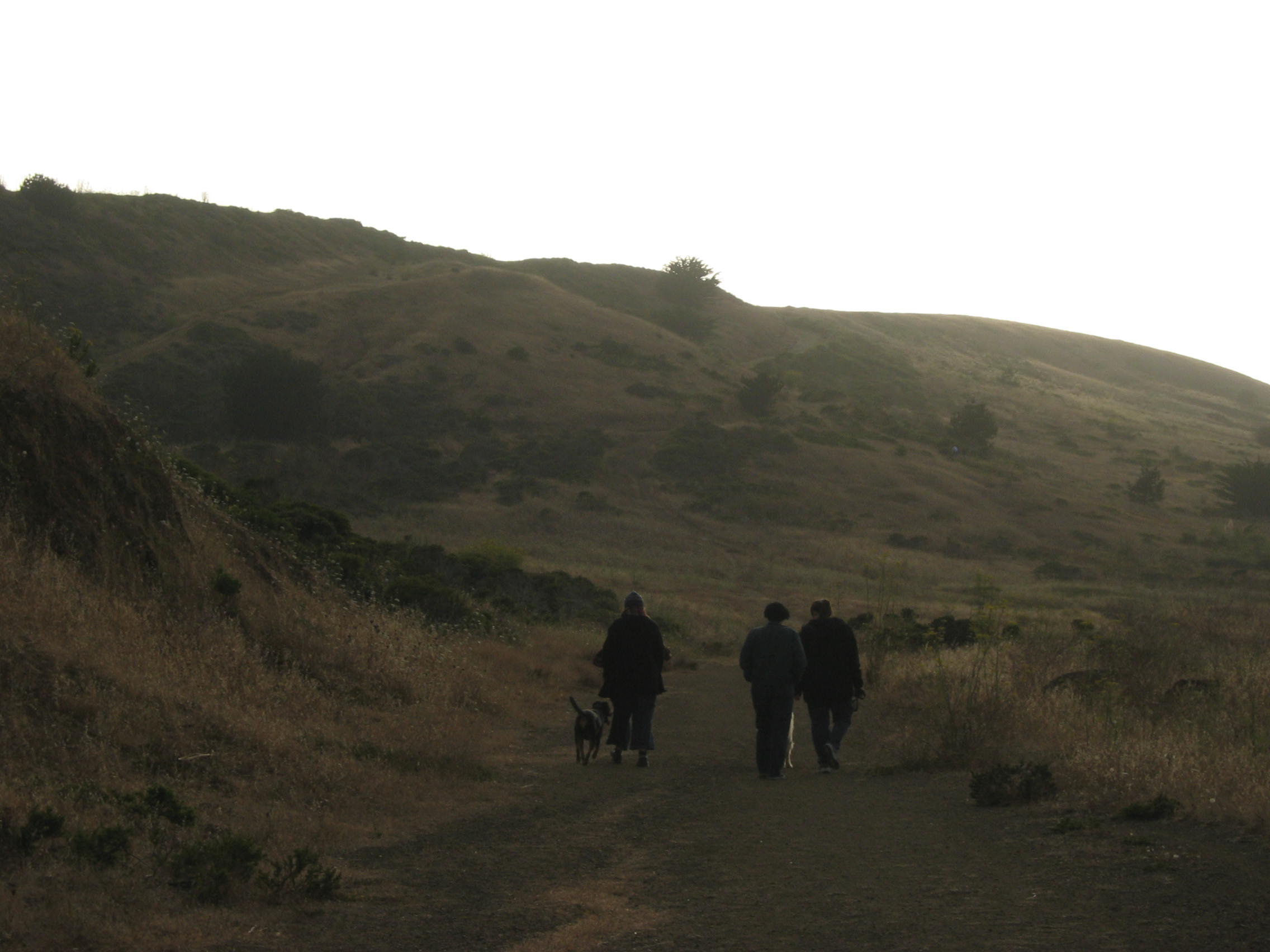 kehoe, lisa, lindaloo, and laura in the pacifica sunset