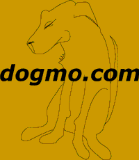 dogmo.com - coming soon!
